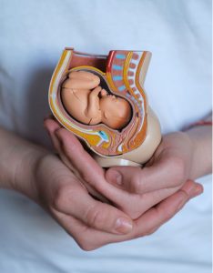 Taller Huellas de gestación