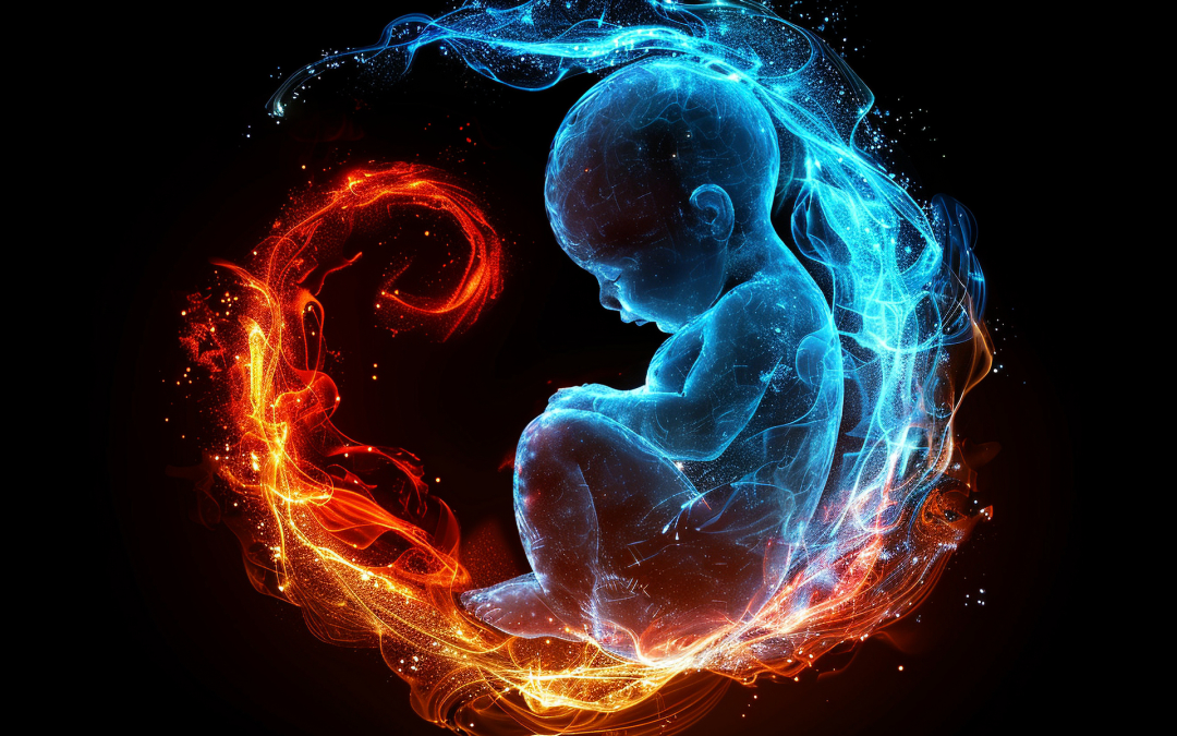 Memorias Gestacionales y su Impacto en la Vida Presente